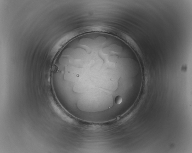 X0000115620938200911101412