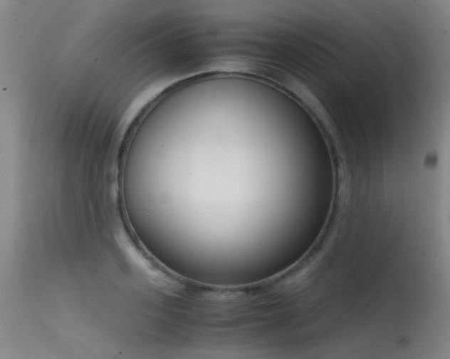 X0000115620939200911101412