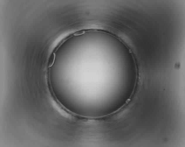 X0000115620942200911101412