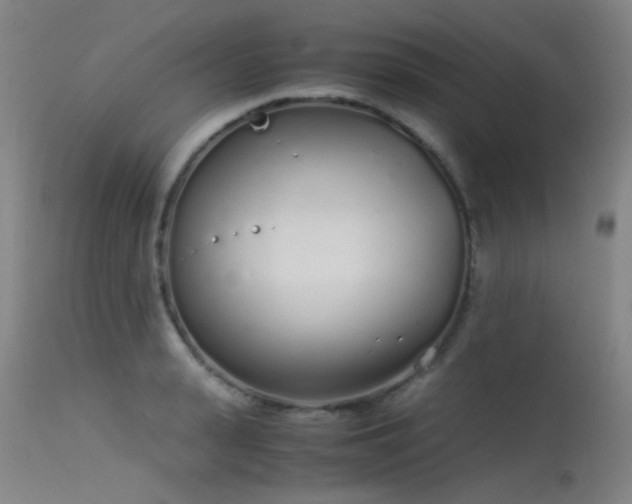 X0000115620943200911101412