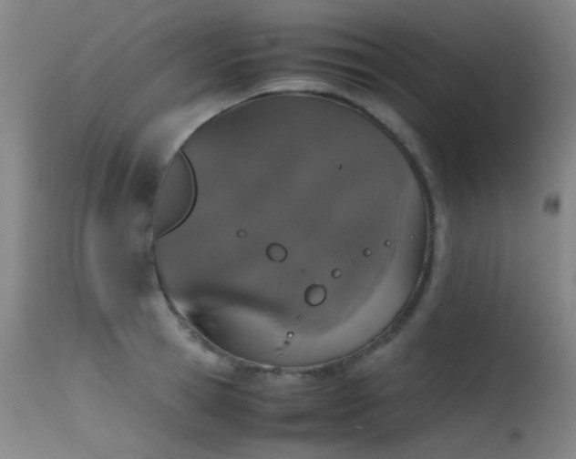 X0000115620945200911101412