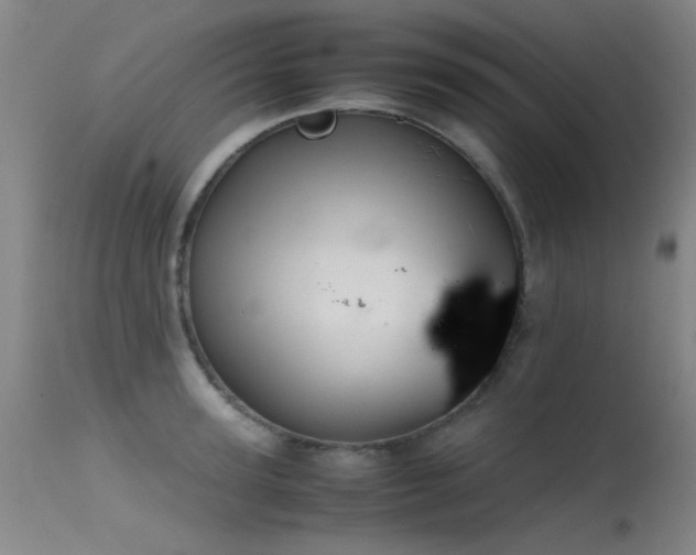 X0000115620947200911101412