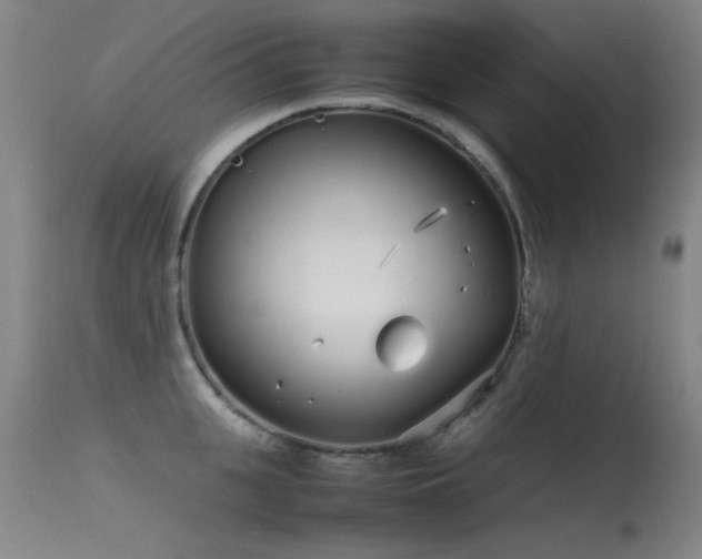 X0000115620951200911101412