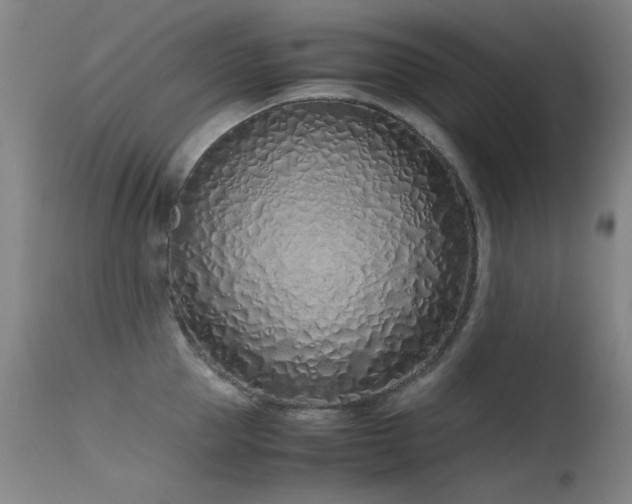 X0000115620953200911101412