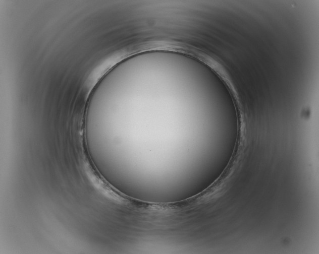 X0000115620954200911101412