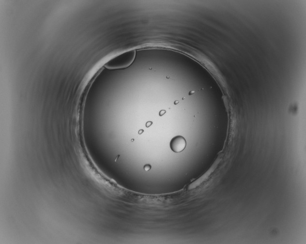 X0000115620955200911101412