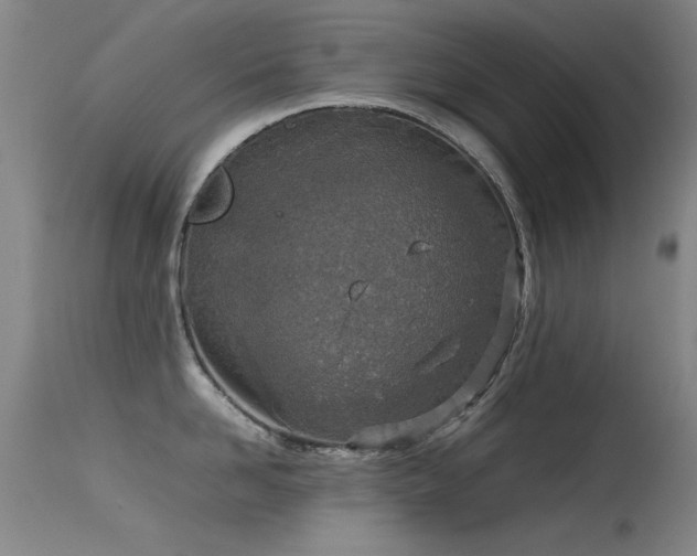 X0000115620958200911101412