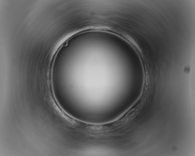 X0000115620959200911101412