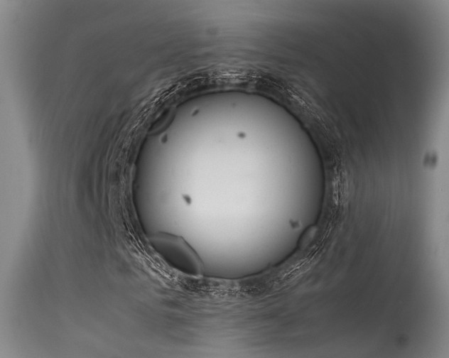 X0000115620961200911101412