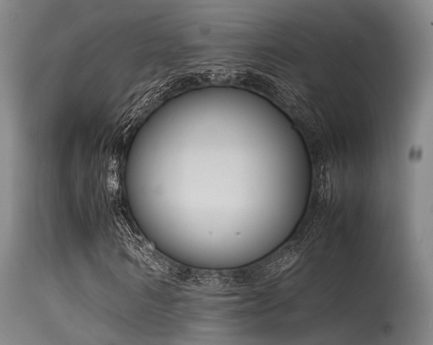 X0000115620962200911101412