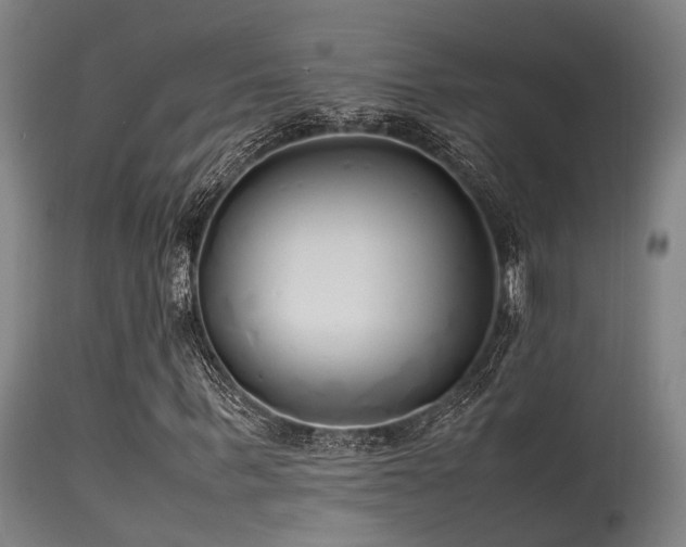 X0000115620963200911101412