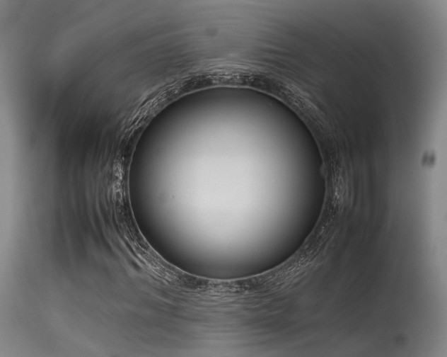 X0000115620964200911101412