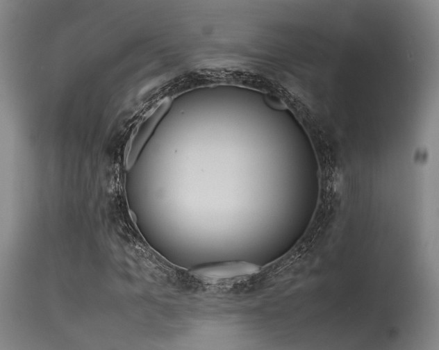 X0000115620965200911101411