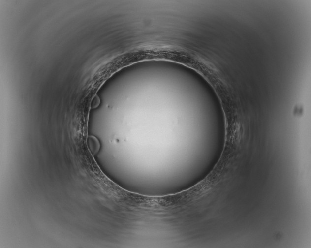 X0000115620966200911101411