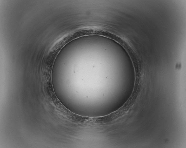 X0000115620967200911101411