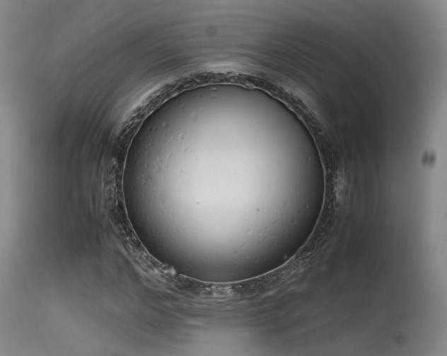 X0000115620968200911101411