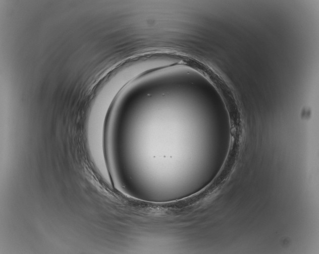 X0000115620969200911101411