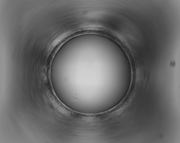 X0000115620970200911101411