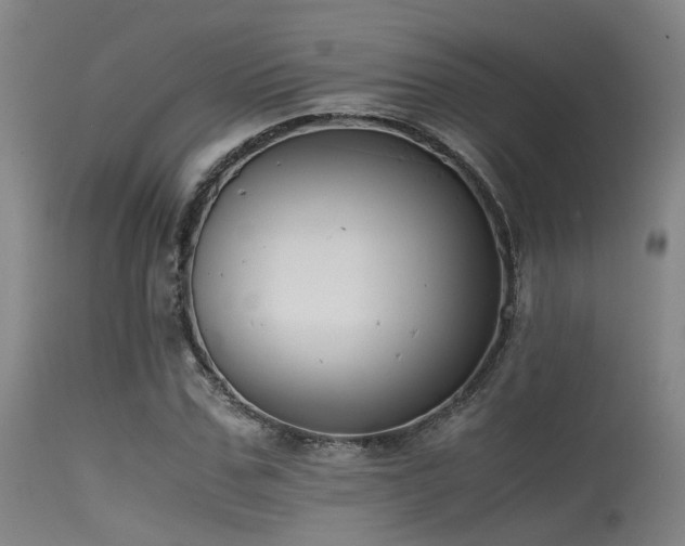 X0000115620971200911101411