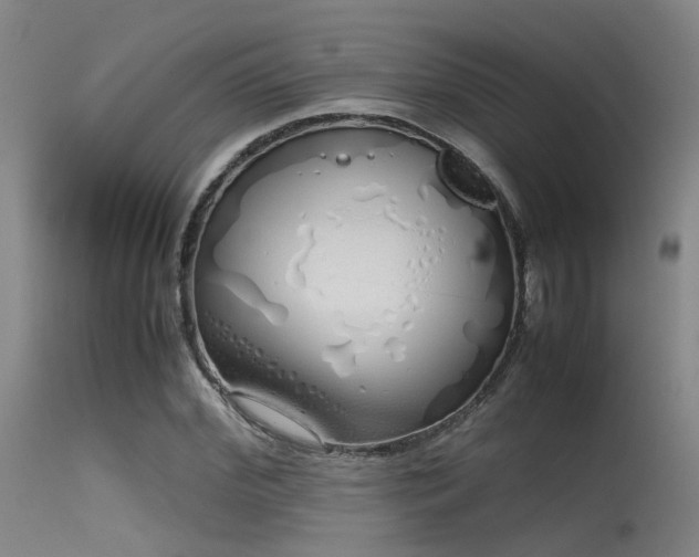 X0000115620972200911101411