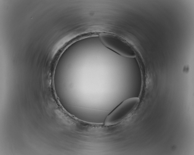 X0000115620973200911101411