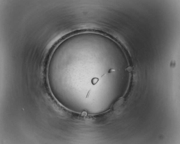 X0000115620975200911101411