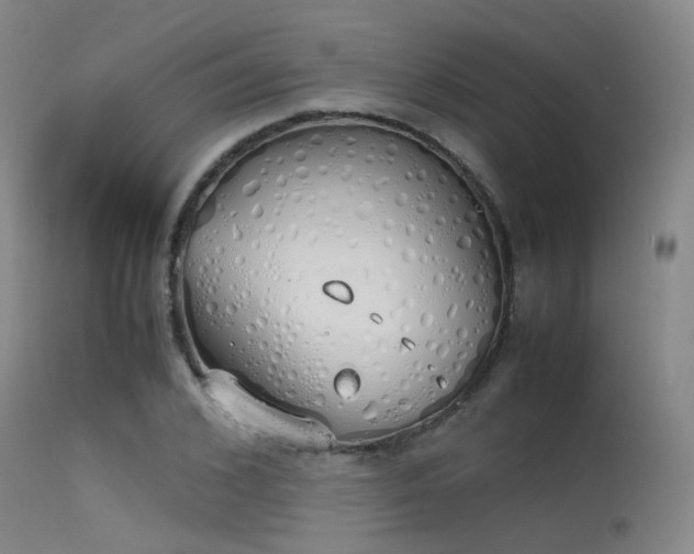 X0000115620976200911101411