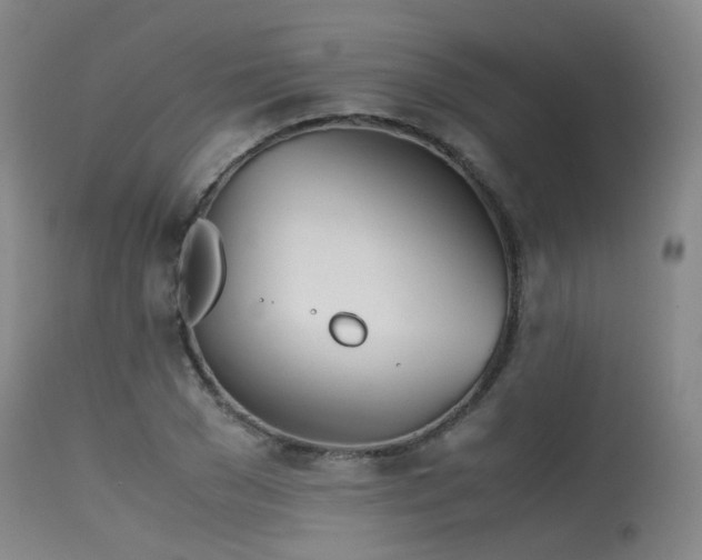 X0000115620977200911101411