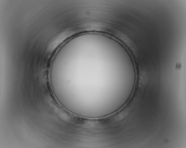 X0000115620978200911101411