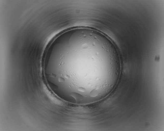 X0000115620980200911101411