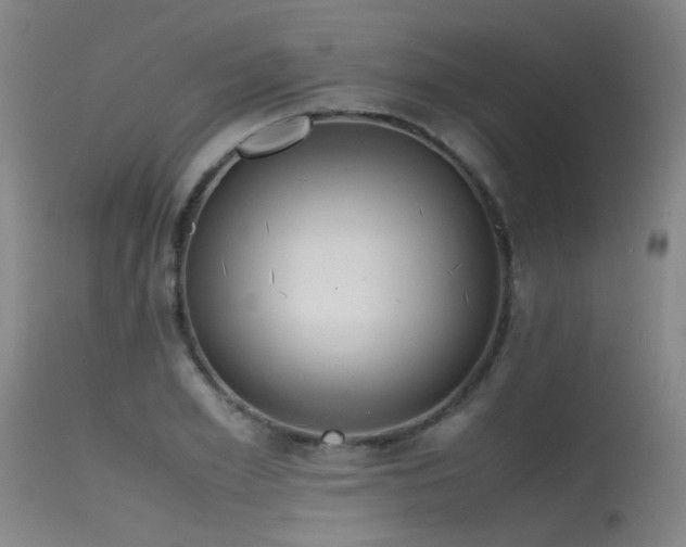 X0000115620981200911101411