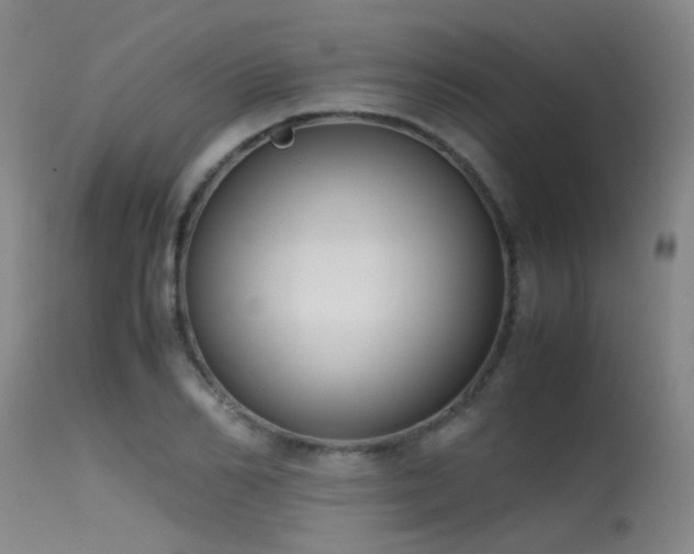 X0000115620982200911101411