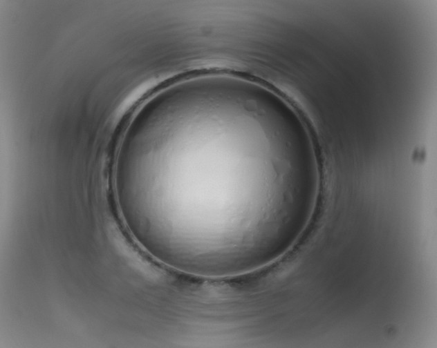 X0000115620983200911101411