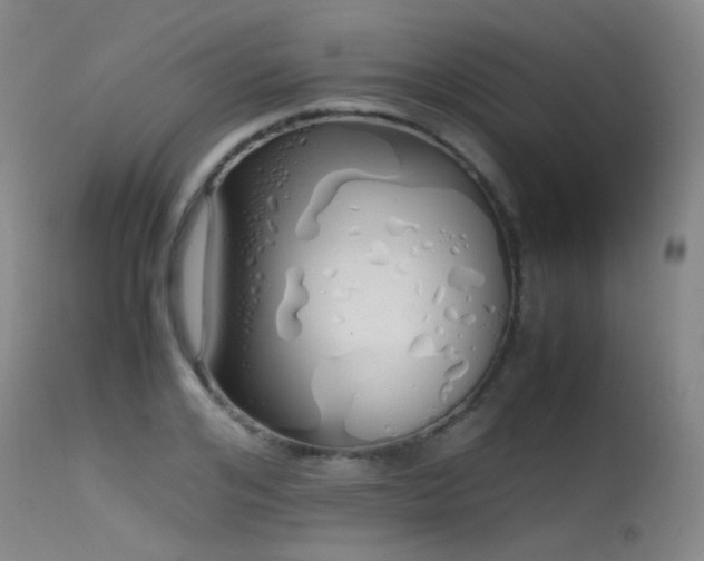 X0000115620984200911101411