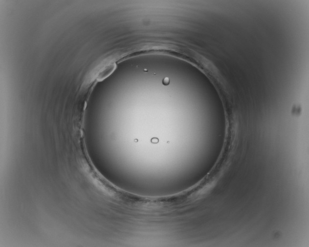 X0000115620985200911101411