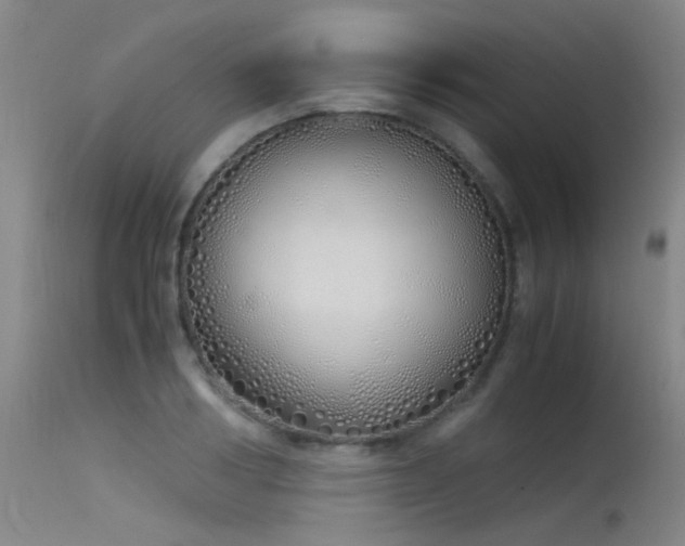 X0000115620986200911101411