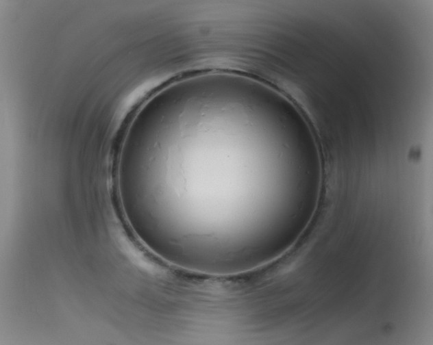 X0000115620987200911101411