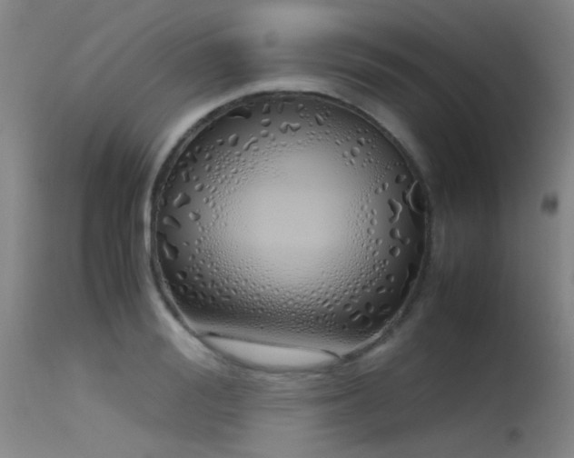 X0000115620988200911101411