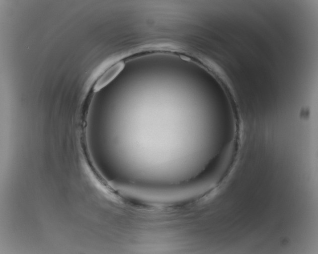 X0000115620989200911101411