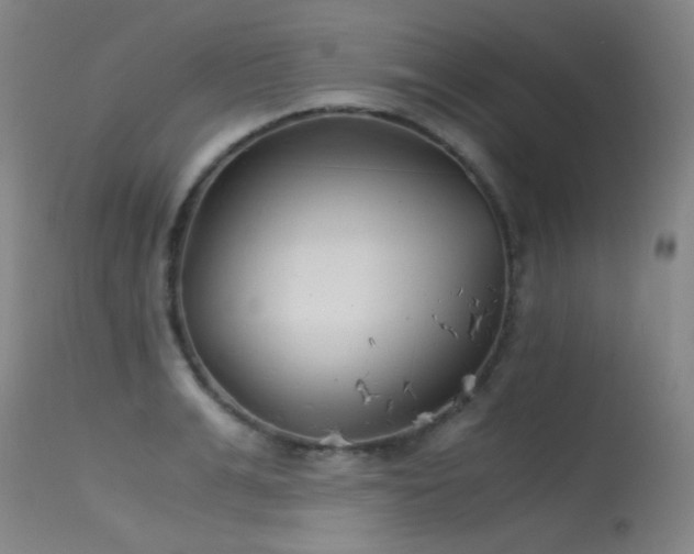 X0000115620991200911101411