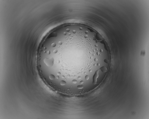 X0000115620992200911101411