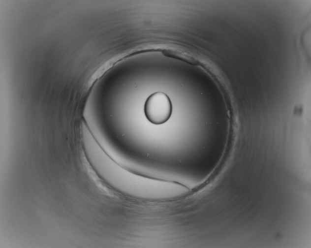 X0000115620993200911101411