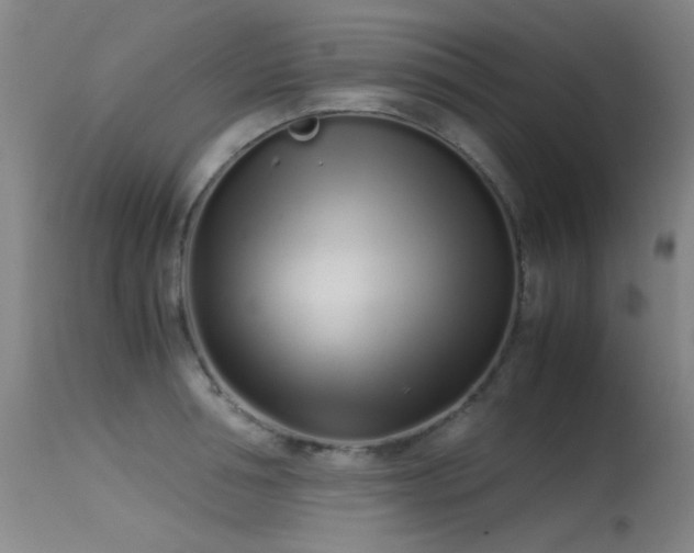 X0000115620994200911101411