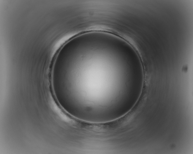 X0000115620995200911101411