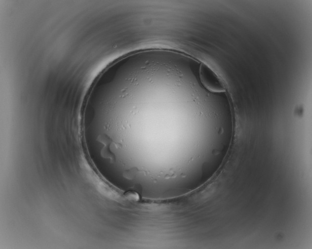 X0000115620996200911101411