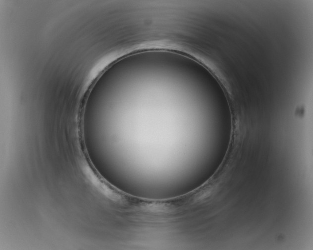 X0000115620998200911101411