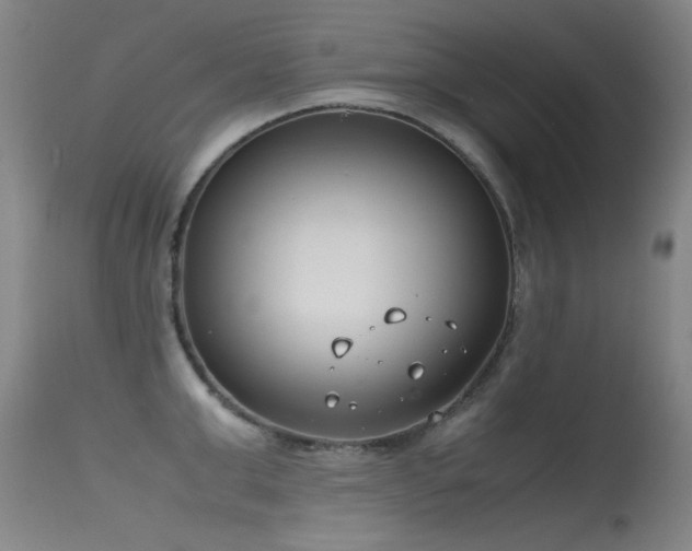 X0000115620999200911101411