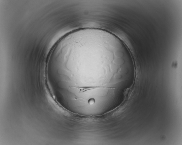 X0000115621000200911101411