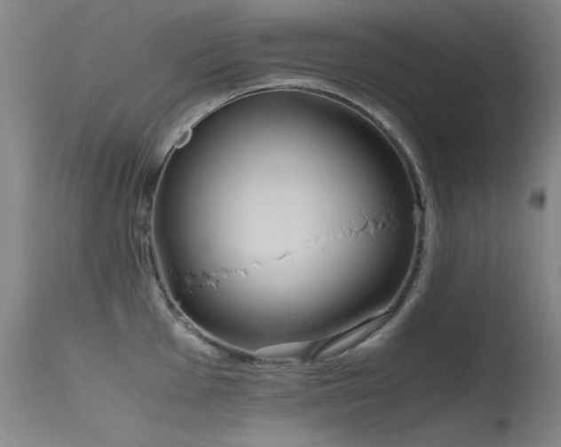 X0000115621001200911101411