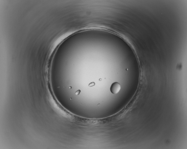 X0000115621003200911101411